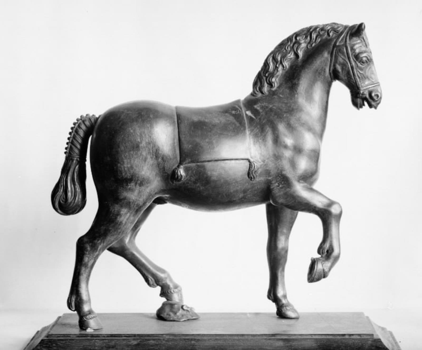 Hest