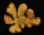 Heteropterys nordestina Amorim