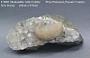 Heulandite