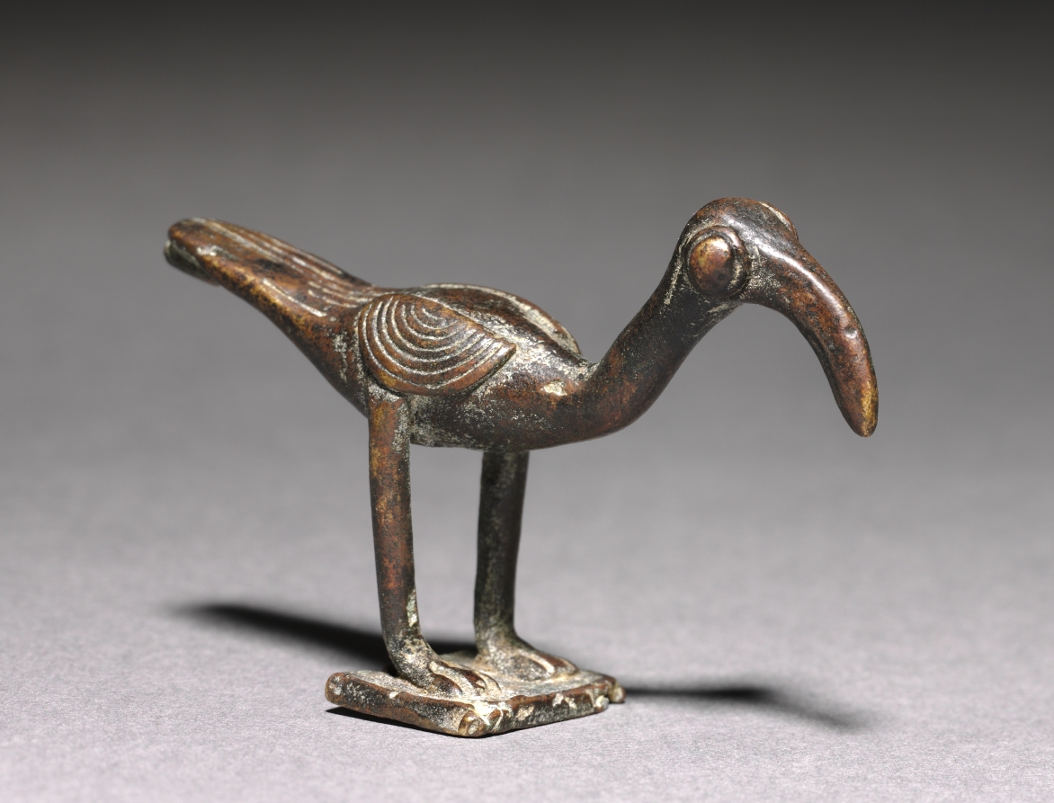Hornbill