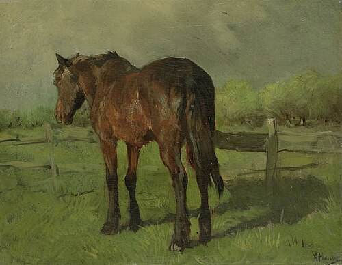 Horse