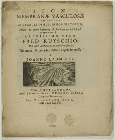 Icon membrane vasculosae