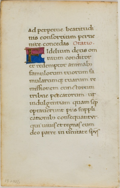 Illuminated Manuscript Leaf