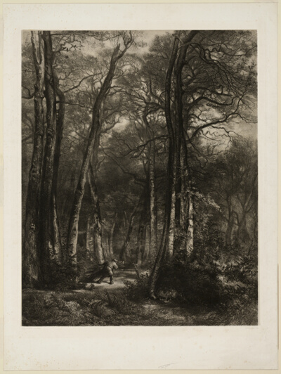 In the Forest