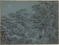 In the Hague Woods