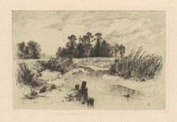 In the Newark Meadows