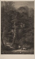Intérieur de Forêt