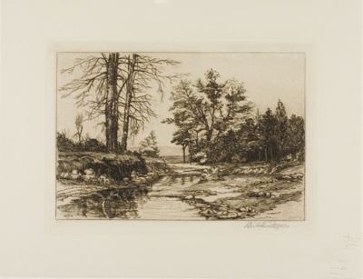 Jackson Hollow