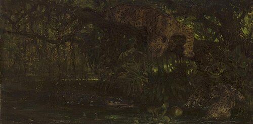Jaguars and a Crocodile