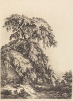 Juniper Tree