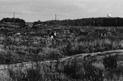 Juorumäen kasvitarhat