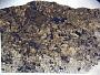 Kaffir (c)