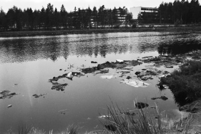 Kangaslampi