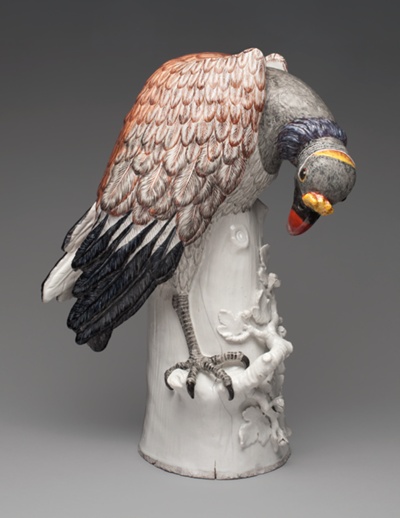 King Vulture