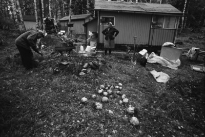Kulosaari