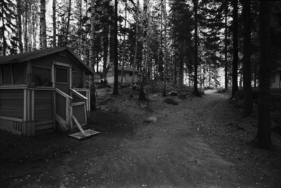 Kulosaari