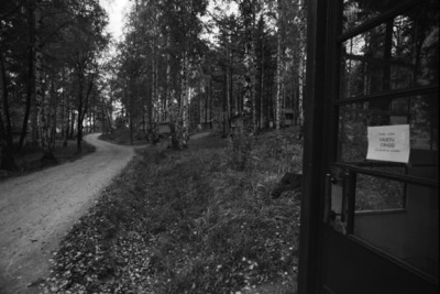 Kulosaari