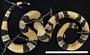 Lampropeltis triangulum micropholis