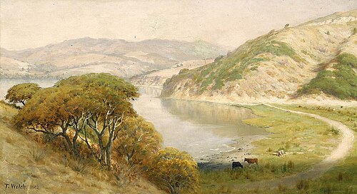 Landscape