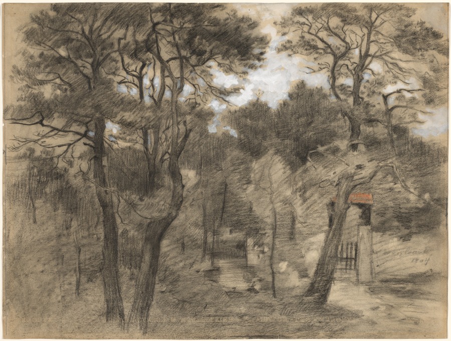 Landscape