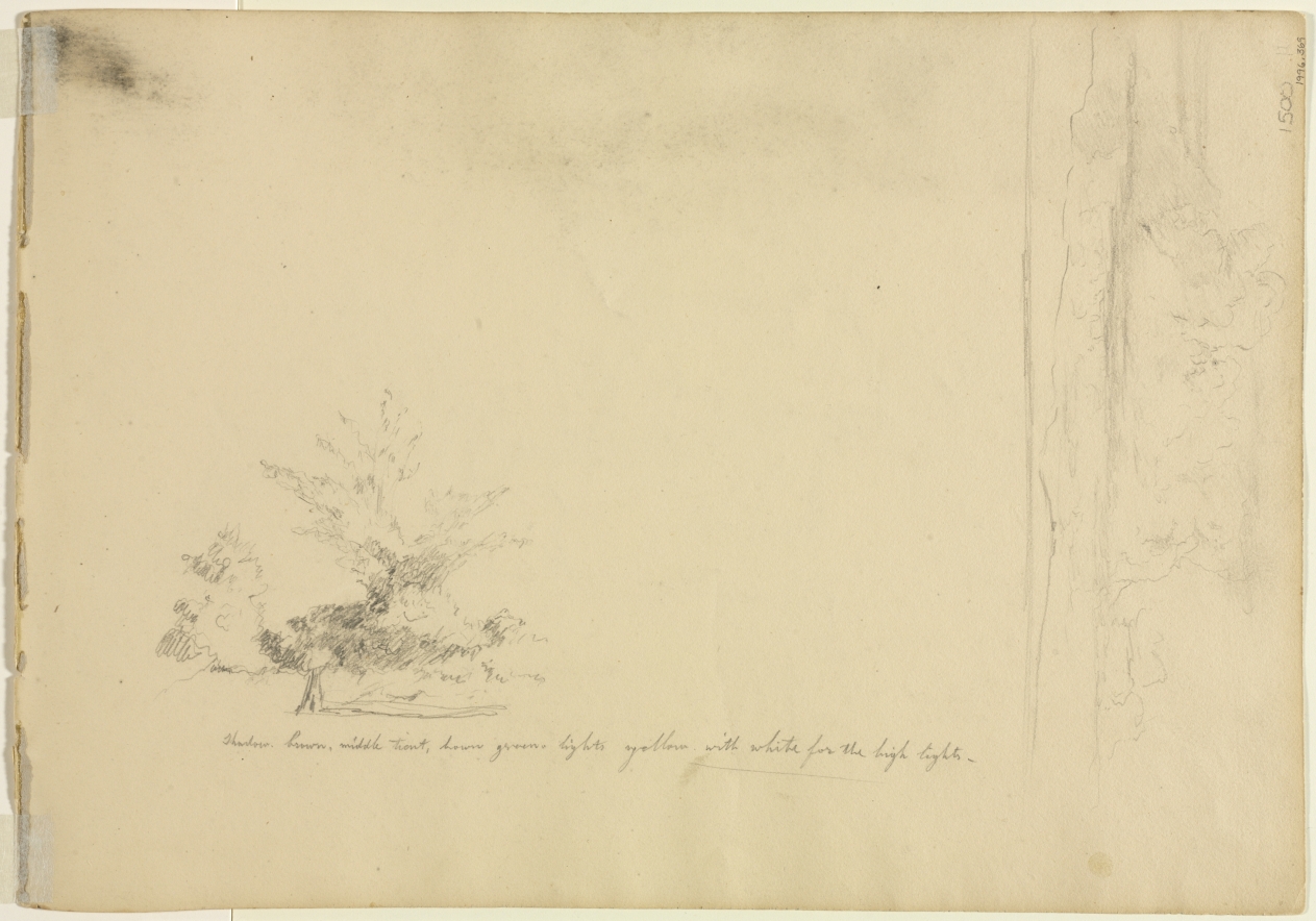 Landscape and Tree Studies (verso)