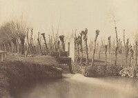 Landscape, Montebello