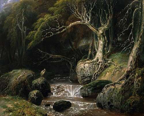 Landscape - solitude