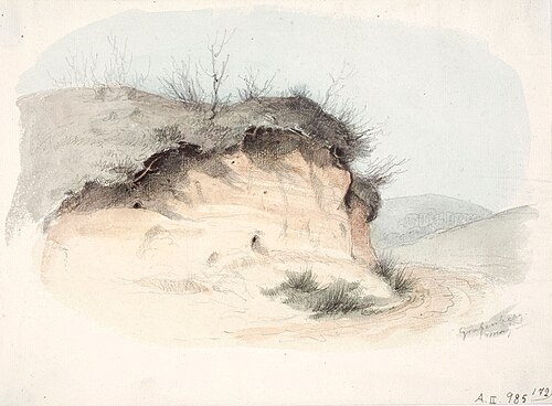 Landscape Study