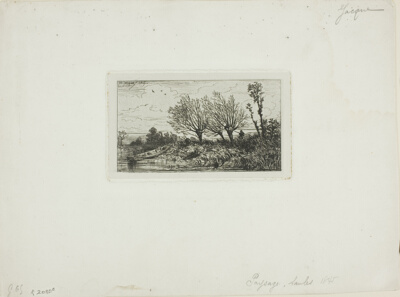 Landscape, Willow Trees
