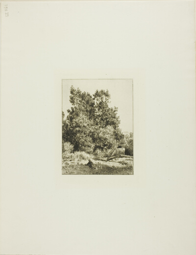 Landscape with Cowherd