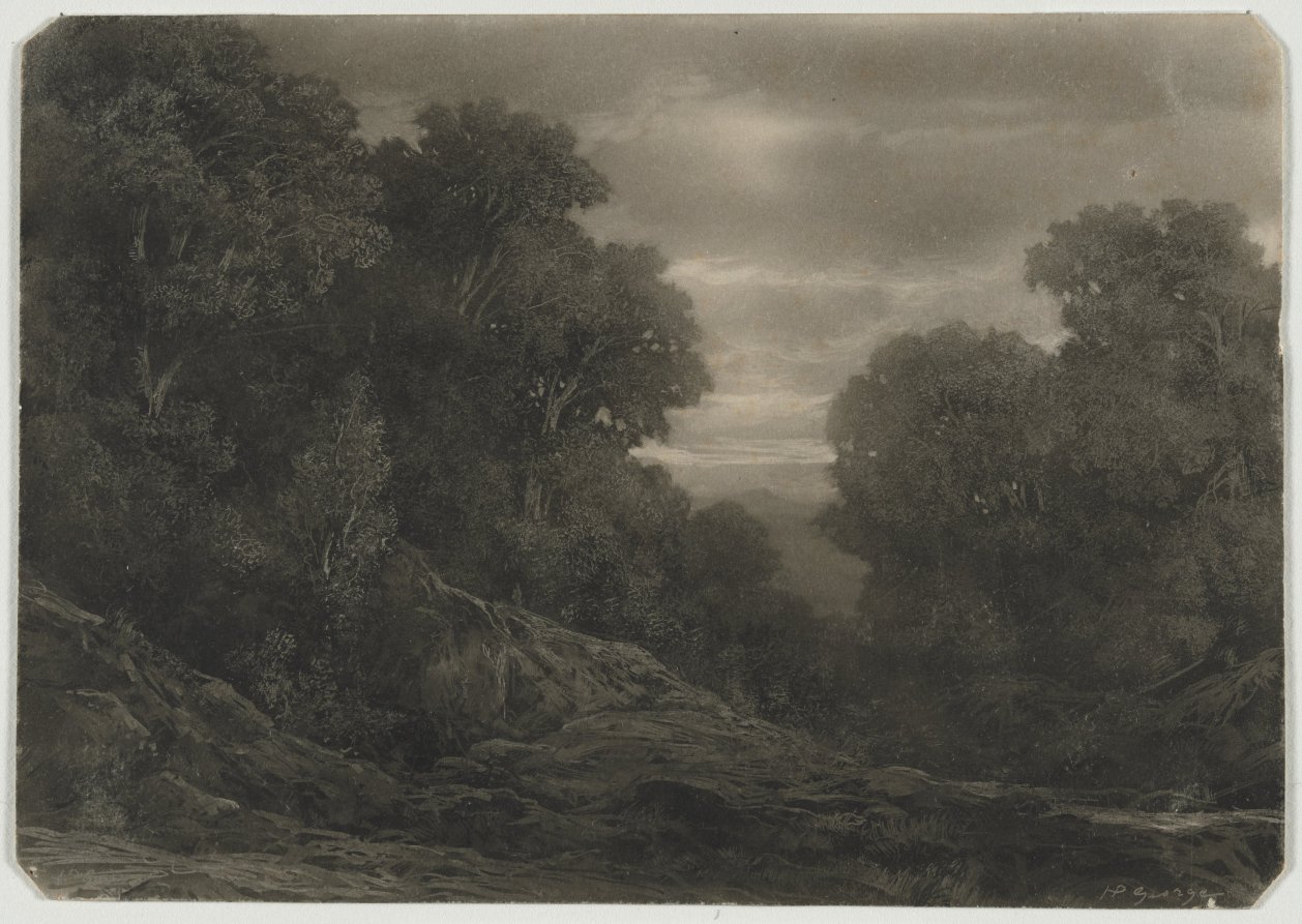 Landscape with Trees