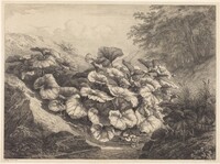 Large Coltsfoot