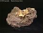 Legrandite