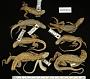 Leiocephalus raviceps