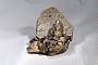 Lepidolite