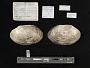 Leptodea fragilis