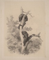 Les ours