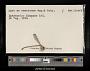 Lestes concinnus