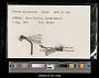 Lestes disjunctus