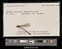 Lestes dryas