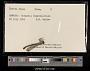 Lestes dryas