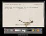 Lestes rectangularis