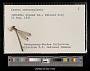 Lestes rectangularis
