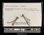 Lestes vigilax