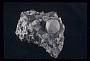 Leucite