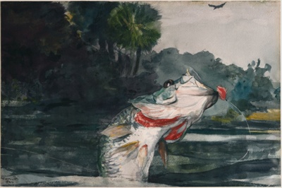 Life-Size Black Bass