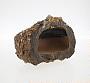 Limonite concretion