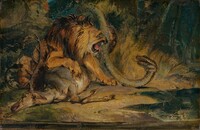 Lion Defending its Prey