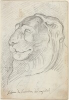 Lion's Head from the Capitoline Staircase