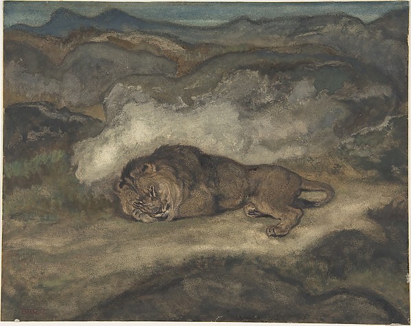 Lion Sleeping